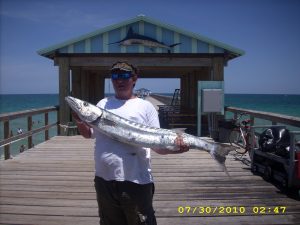 A large Baracuda caught on July 29 2010